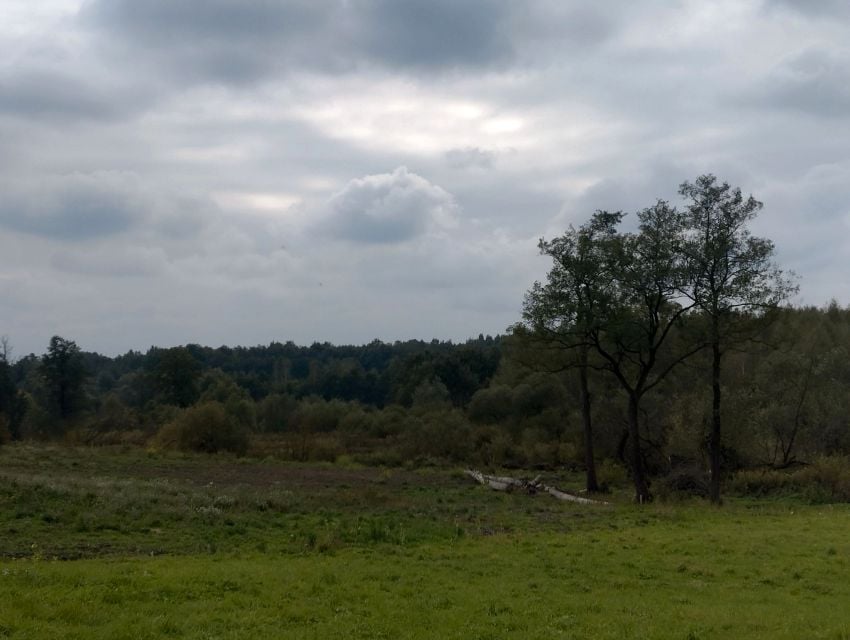 Działka Żelazówka