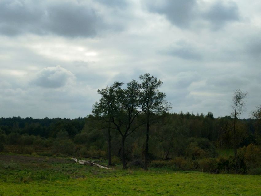 Działka Żelazówka