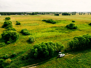 Działka Modrzewie