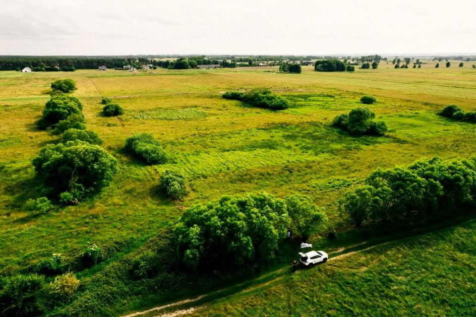 Działka Modrzewie