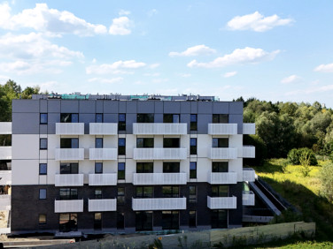 Mieszkanie Gliwice sprzedaż