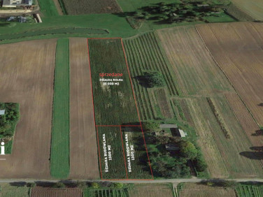 Działka budowlana Czesławice