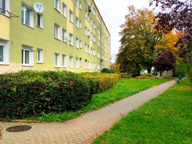 Mieszkanie Gorzów Wielkopolski