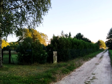 Działka inna Pelagia