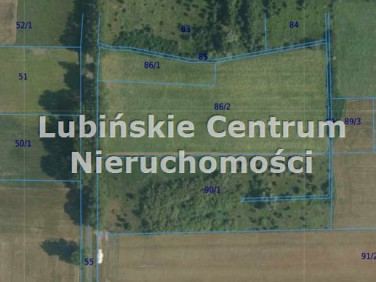 Zalesiona działka Raszowa