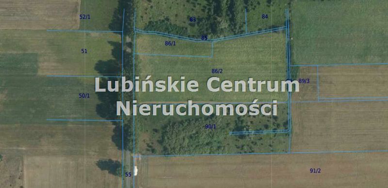 Zalesiona działka Raszowa