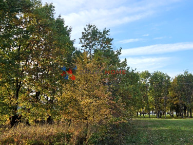 Działka Władysławów