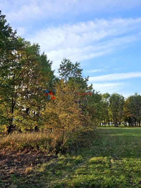 Działka Władysławów