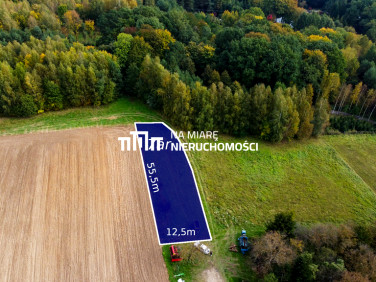 Działka przy lesie