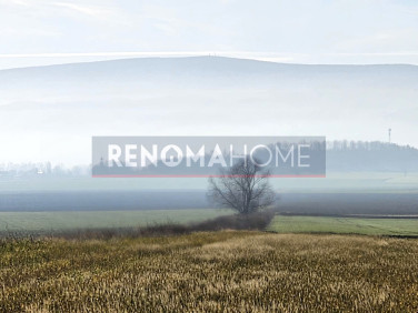 Działka budowlana Książnica