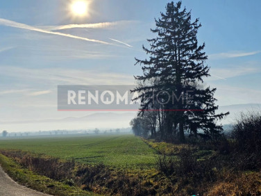 Działka Książnica