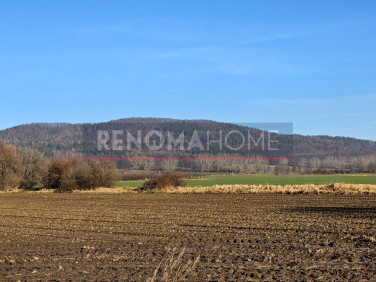 Działka budowlana Książnica