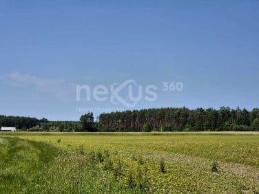 Działka KRAŚNIK DOLNY