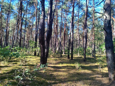 Działka Osiedle Wilga