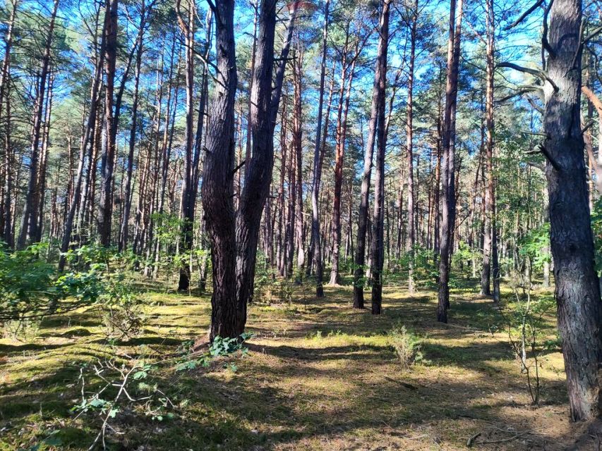 Działka Osiedle Wilga