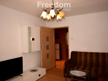 Mieszkanie Gliwice wynajem