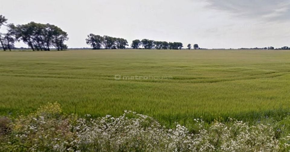 Zdjęcie 3