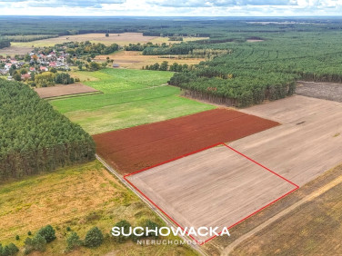 Działka rolna Lipno