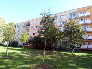 Mieszkanie Opole
