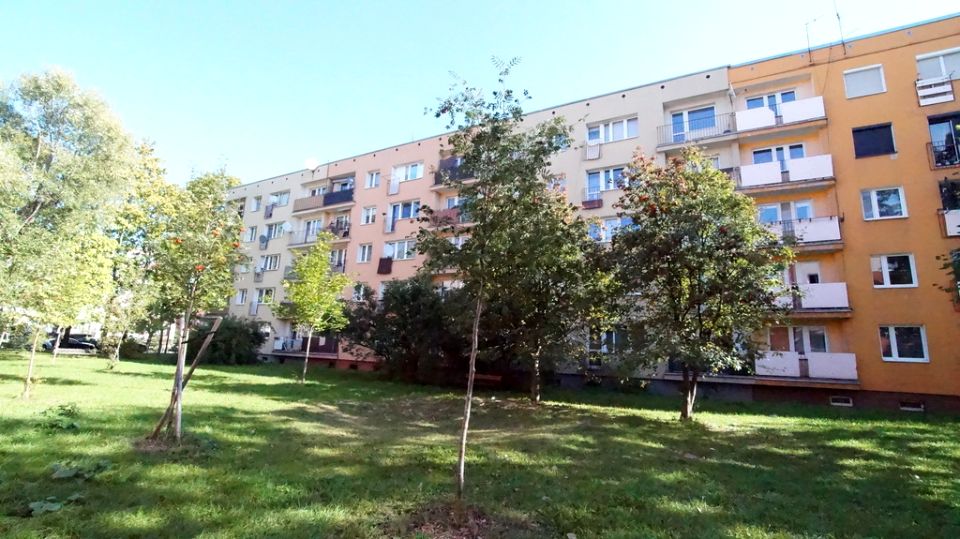 Mieszkanie Opole