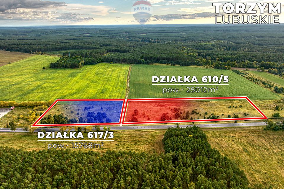 Działka Torzym