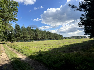 Działka Siedliska