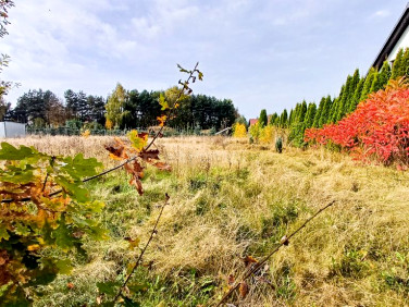 Działka budowlana Nieżywięć