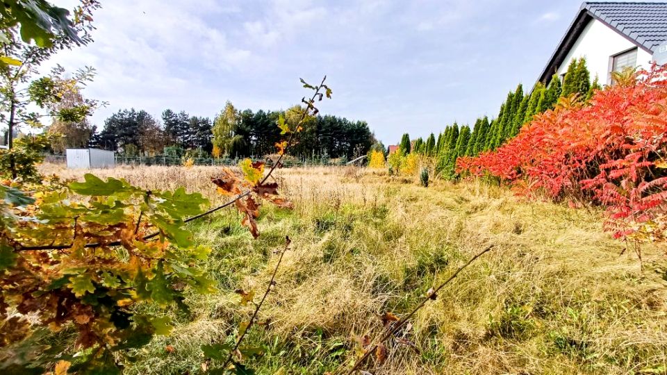 Działka budowlana Nieżywięć