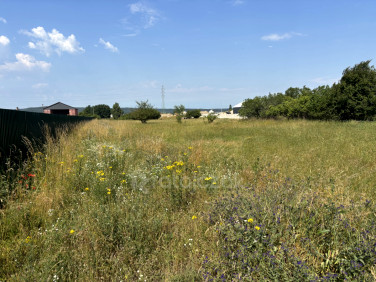 Działka Dębogórze-Wybudowanie