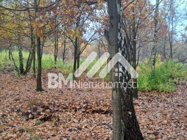 Działka budowlana Kałęczyn