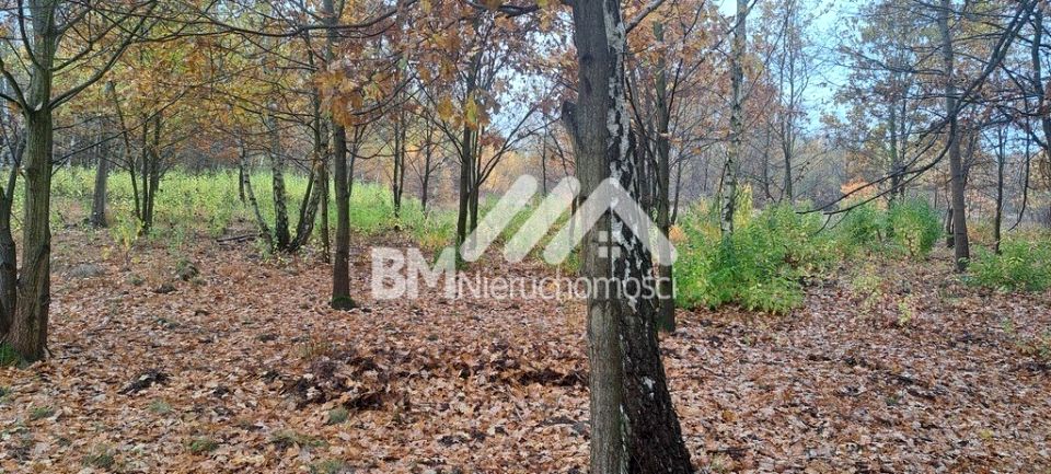 Działka budowlana Kałęczyn