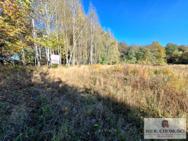 Działka budowlana Pawęzów