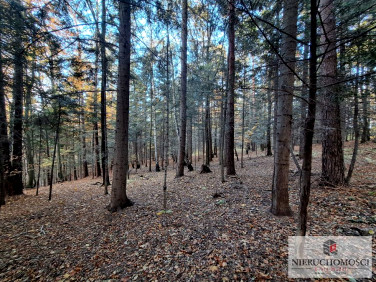 Działka leśna sprzedam