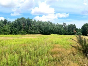 Działka budowlana Połchowo