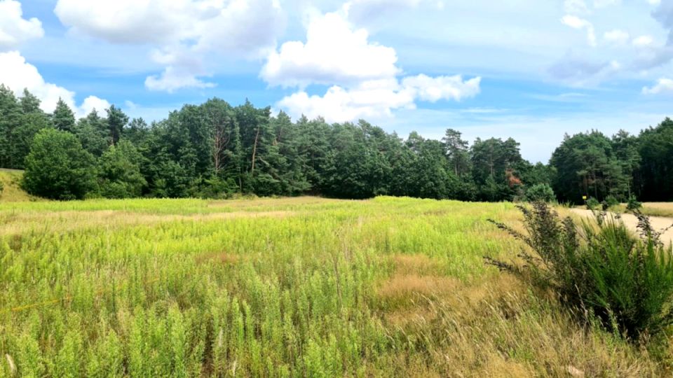 Działka budowlana Połchowo