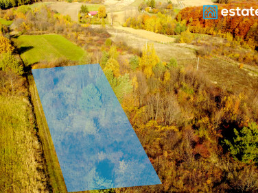 Działka rolna Pruchnik