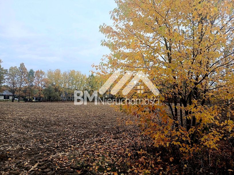 Działka budowlana Odrano-Wola