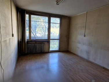 Lokal Bielsko-Biała