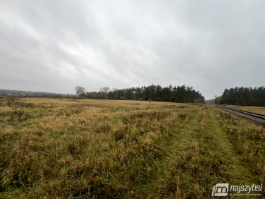 Działka inwestycyjna Wilczyniec