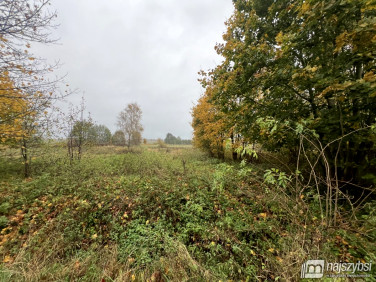 Działka rolna Czarne