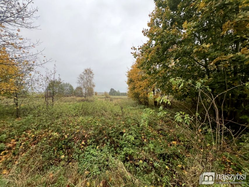 Działka rolna Czarne