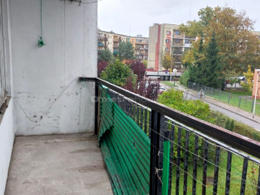 Mieszkanie Oleśnica