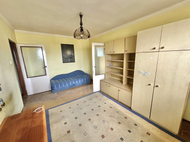 Mieszkanie Sosnowiec sprzedaż