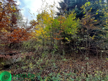 Działka budowlana Rusiec