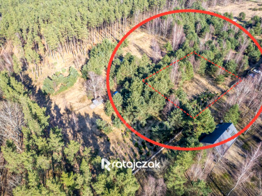 Działka przy lesie