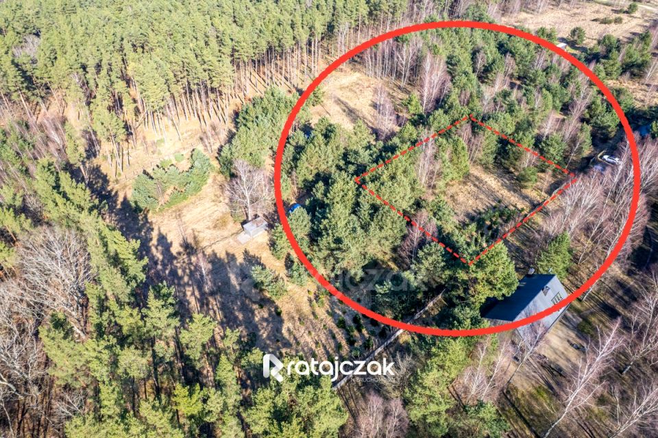 Działka przy lesie