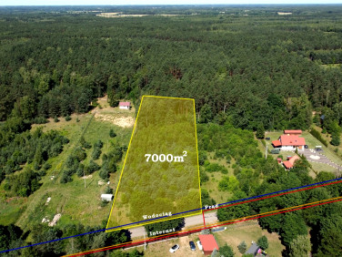 Działka rolna Grabie