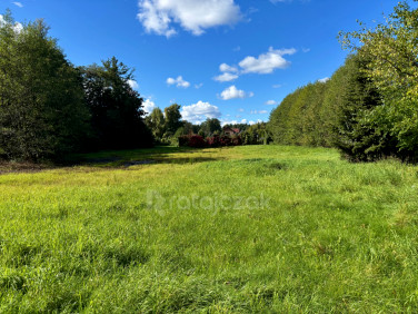 Działka usługowa Gdańsk sprzedam