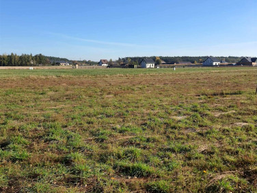 Działka budowlana Żuków