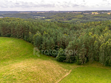 Działka inna Milwino